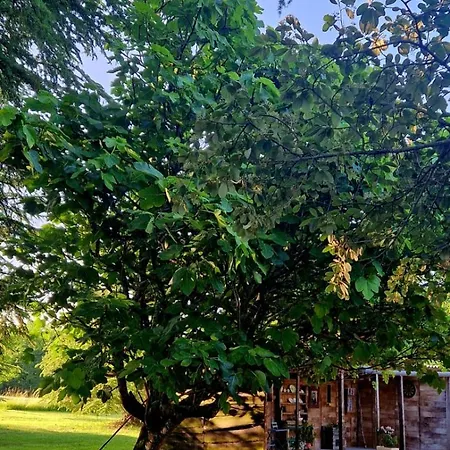 Couette-café Maison La Viste 3*