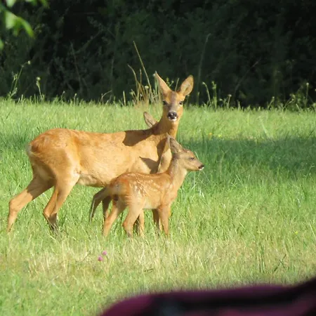 Couette-café Maison La Viste Devillac