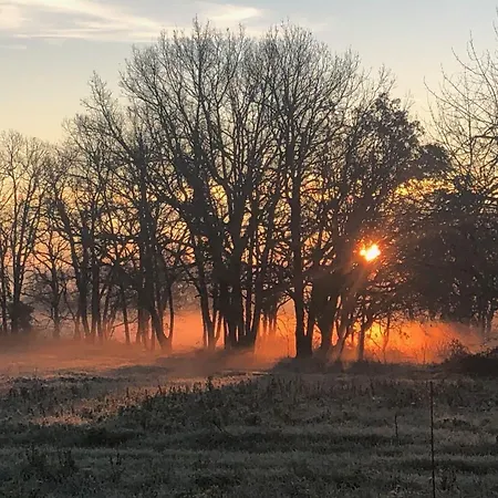 Maison La Viste Couette-café Devillac