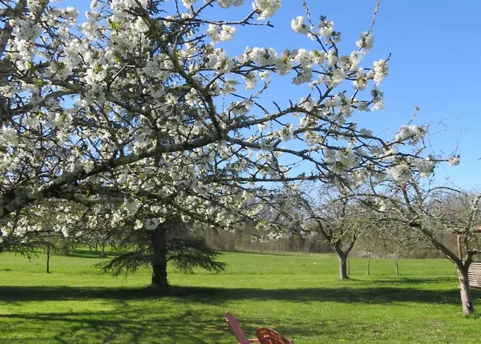 Maison La Viste فندق مبيت وإفطار Devillac